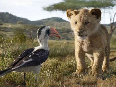 Giám đốc điều hành Disney xin lỗi sau khi trường tiểu học bị phạt vì chiếu phim Lion King